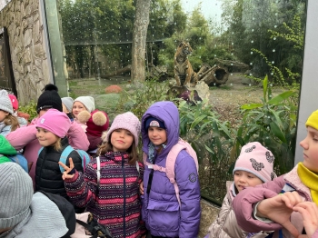 Zoo