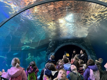 Zoo