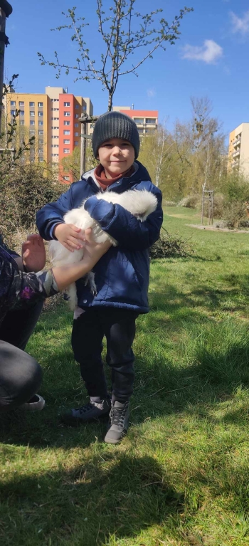 kury warsztaty