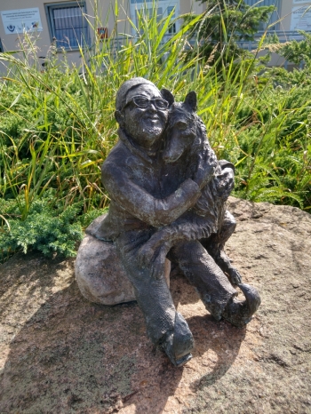 image007