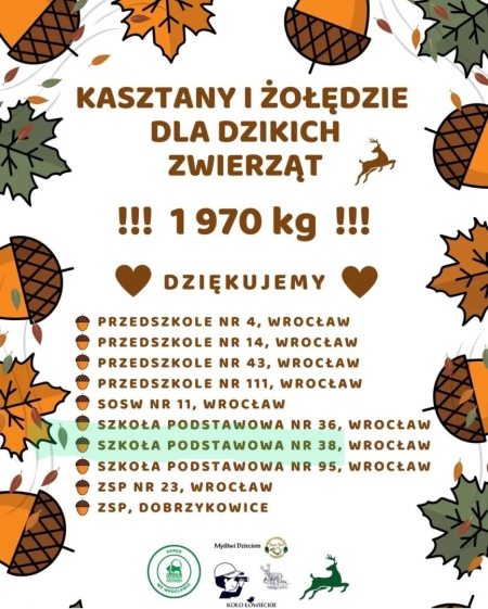 Zbiórka kasztanów i żołędzi