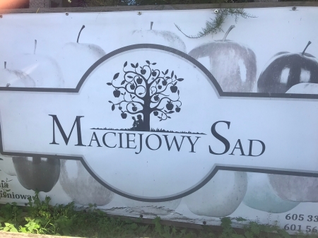 Maciejowy Sad